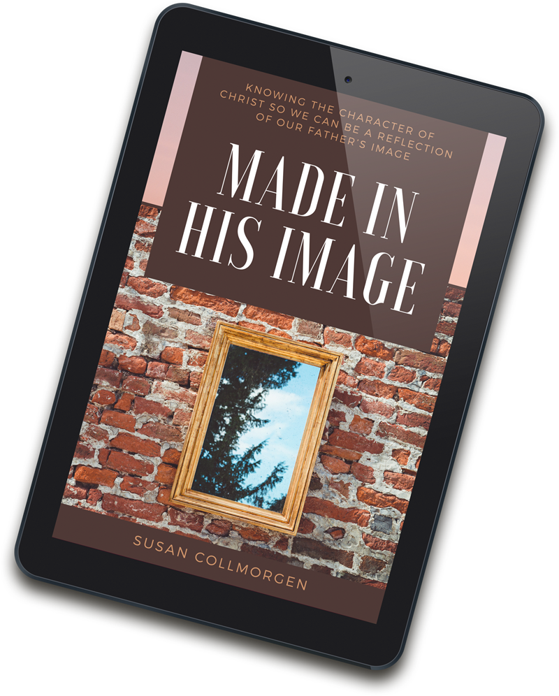 Made in His Image eBook Cover